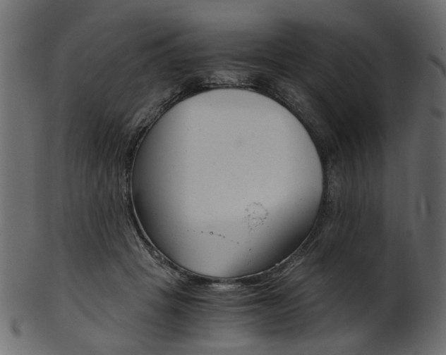 X0000102030457200807181010