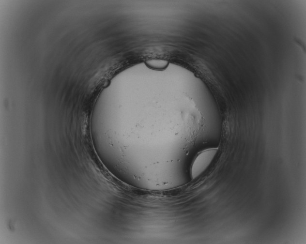 X0000102030458200807181010