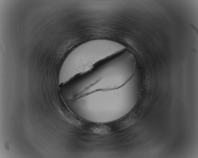 X0000102030459200807181010