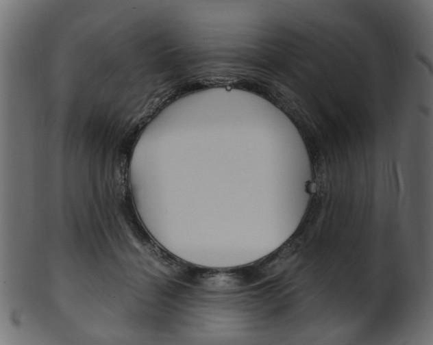 X0000102030460200807181010