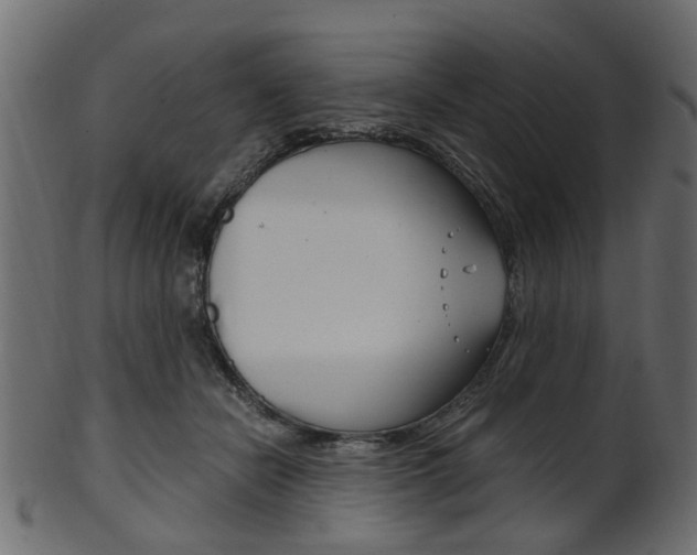 X0000102030462200807181010