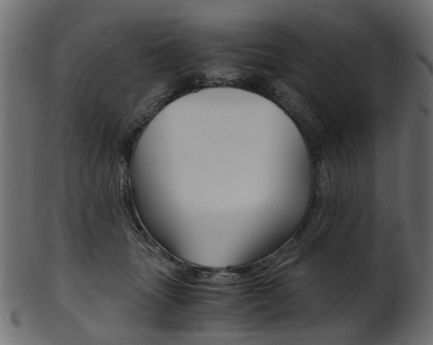 X0000102030463200807181010