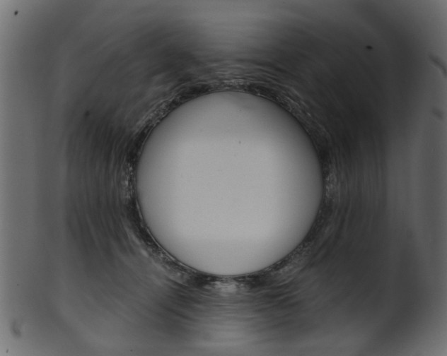 X0000102030464200807181010