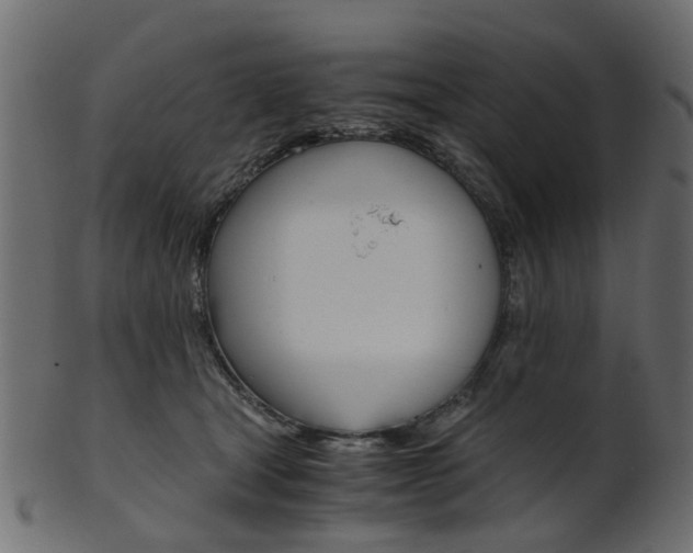 X0000102030465200807181010