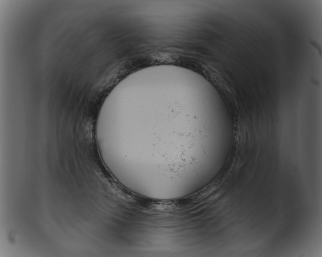 X0000102030466200807181010