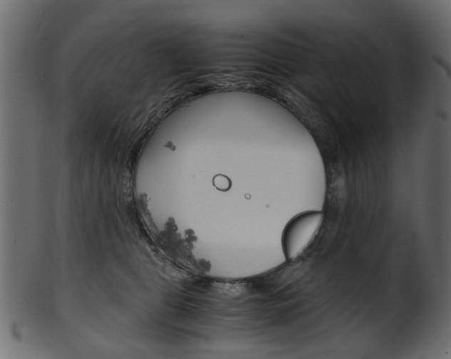 X0000102030469200807181010