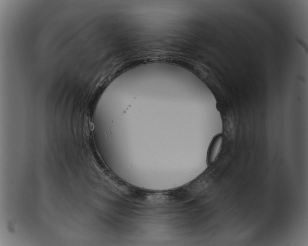 X0000102030470200807181010