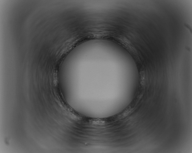 X0000102030471200807181011