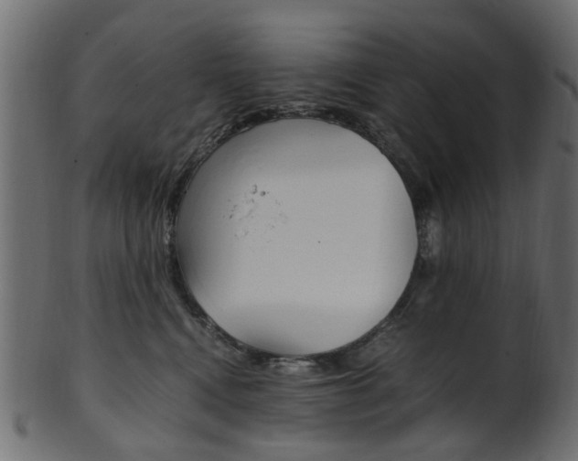 X0000102030472200807181011