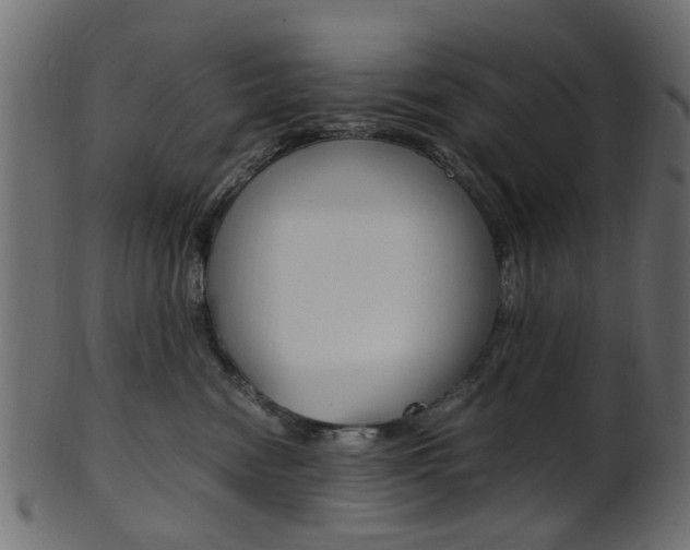 X0000102030474200807181011