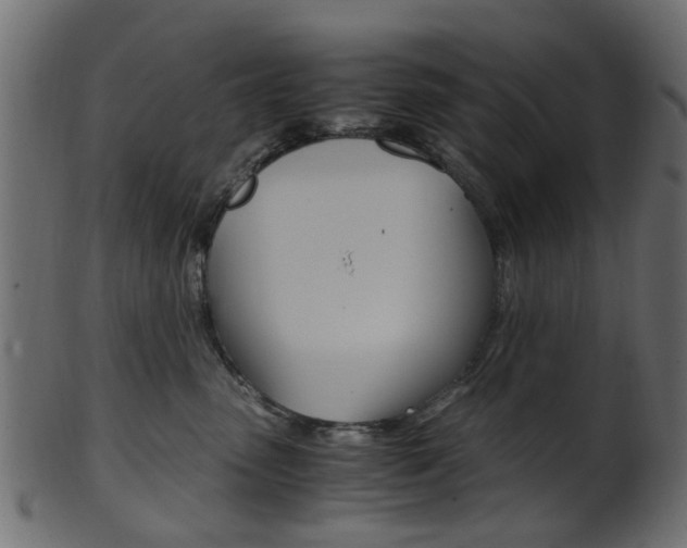 X0000102030475200807181011