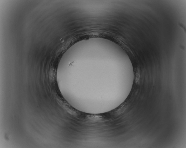 X0000102030476200807181011