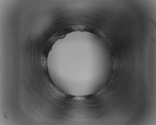 X0000102030477200807181011