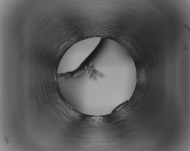 X0000102030478200807181011