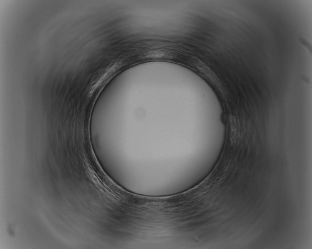 X0000102030482200807181010