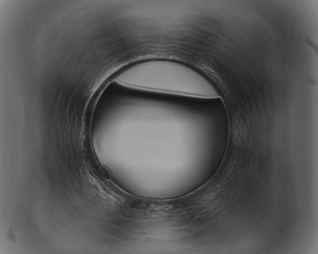 X0000102030484200807181010