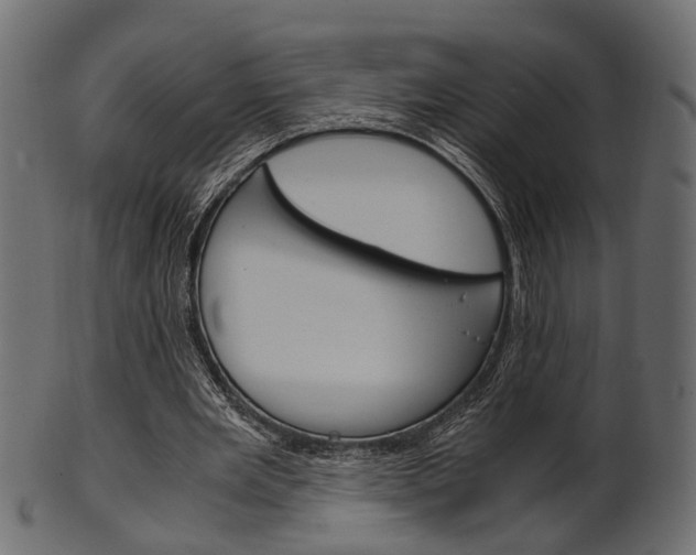 X0000102030485200807181010