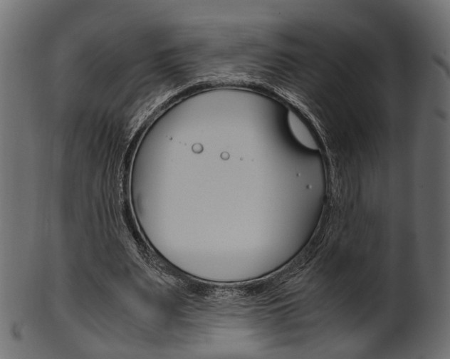 X0000102030487200807181010