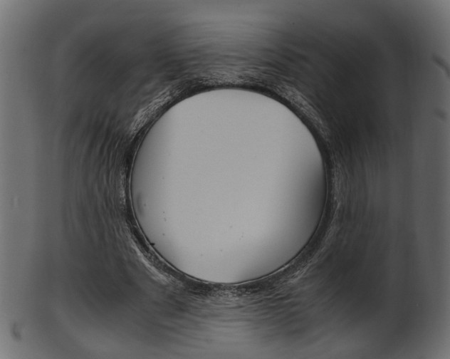 X0000102030489200807181010