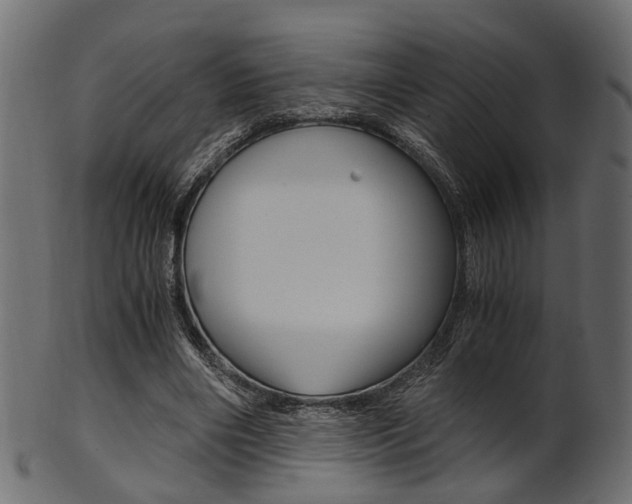 X0000102030490200807181010