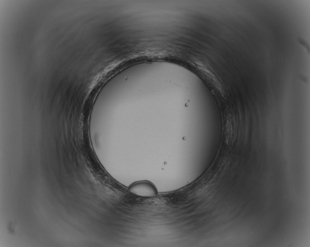 X0000102030492200807181010