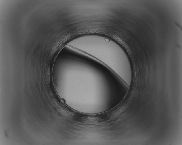 X0000102030493200807181010