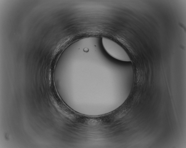 X0000102030494200807181010