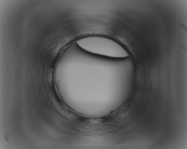 X0000102030495200807181010