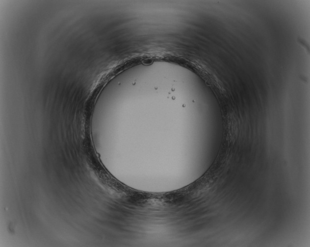 X0000102030496200807181010