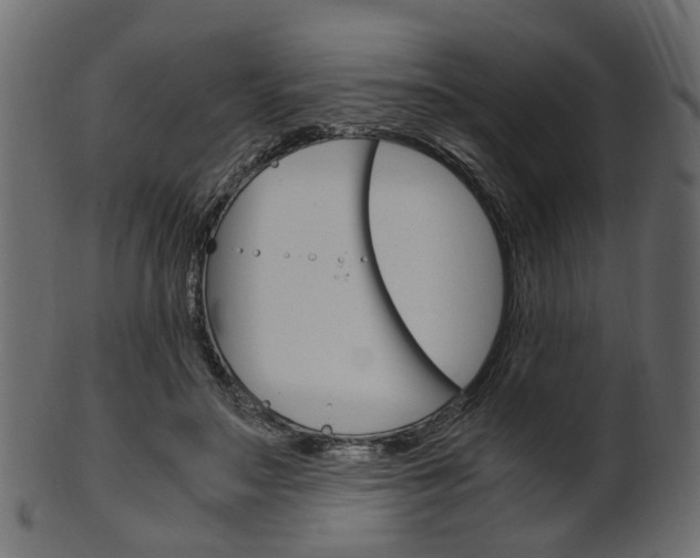 X0000102030499200807181010