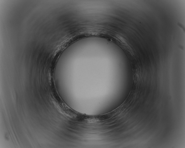 X0000102030500200807181010