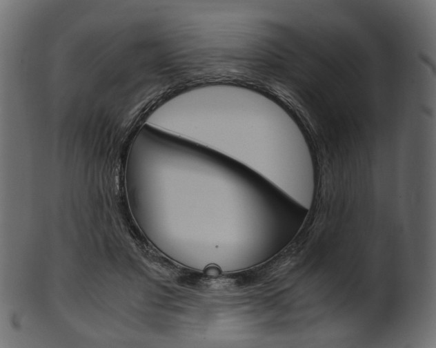 X0000102030501200807181010