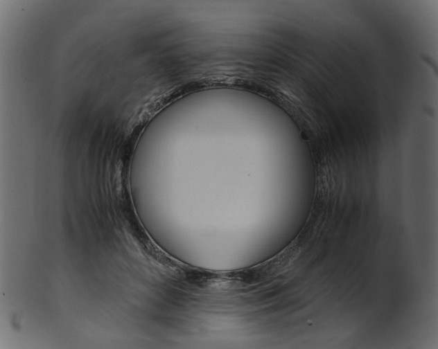 X0000102030504200807181010