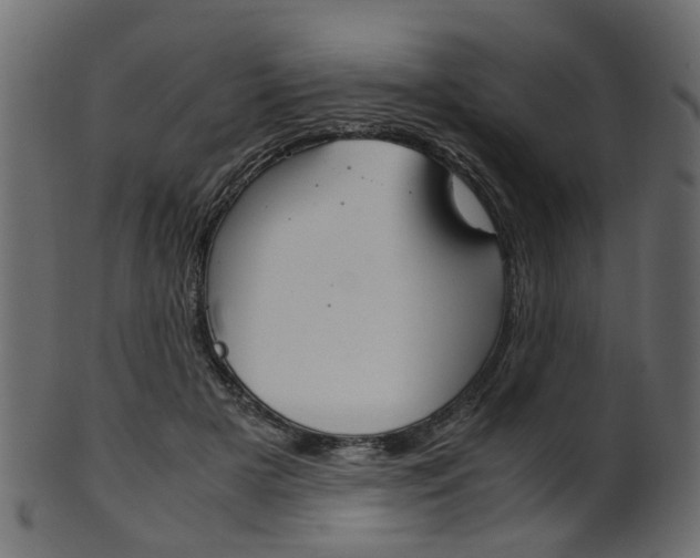 X0000102030505200807181010