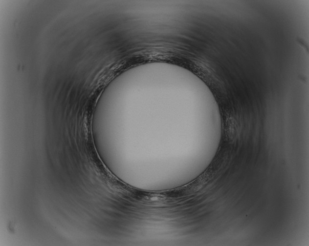 X0000102030506200807181010