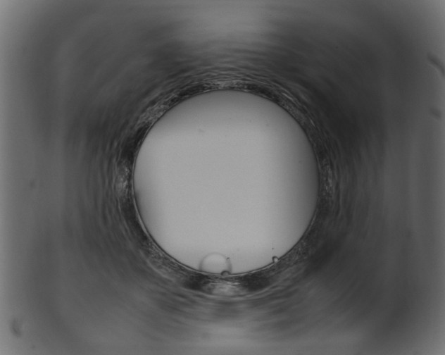 X0000102030507200807181010