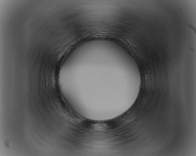 X0000102030508200807181010