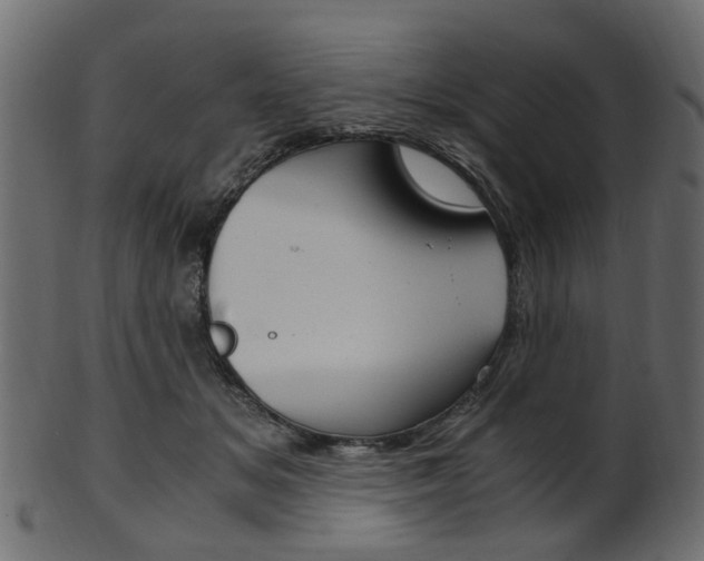 X0000102030509200807181010