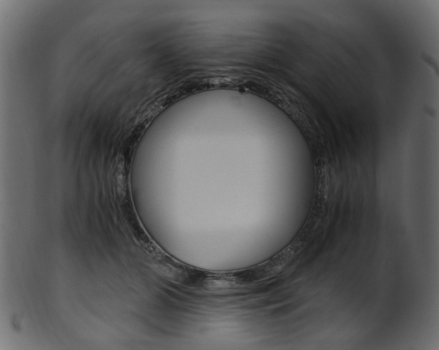 X0000102030510200807181010