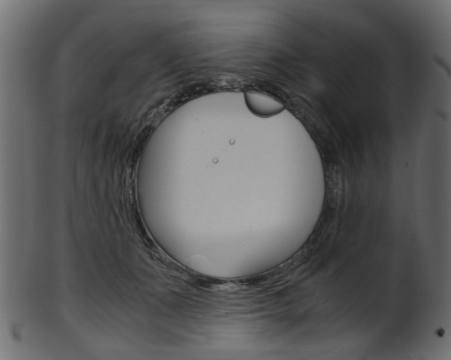 X0000102030511200807181010