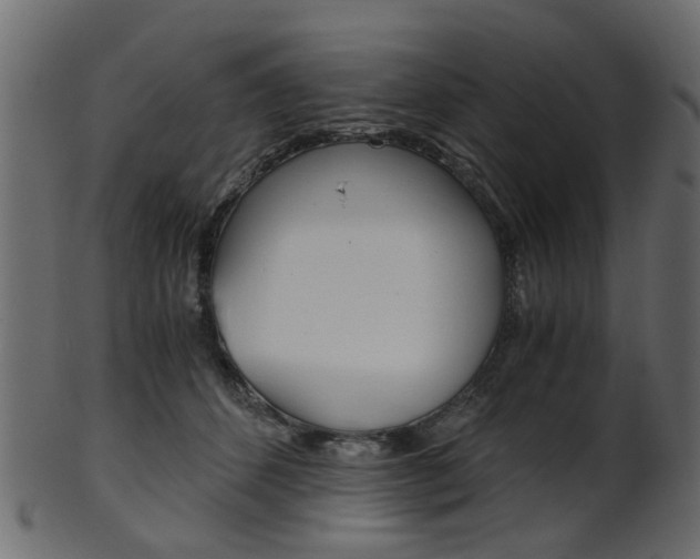 X0000102030512200807181010