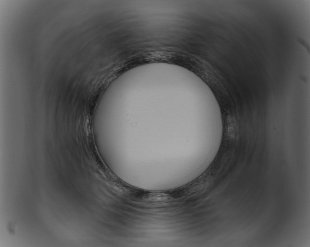 X0000102030514200807181009