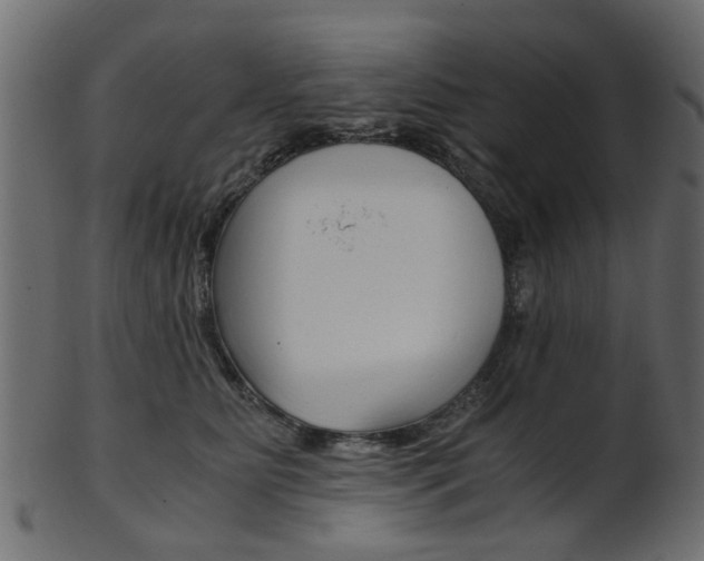 X0000102030515200807181009