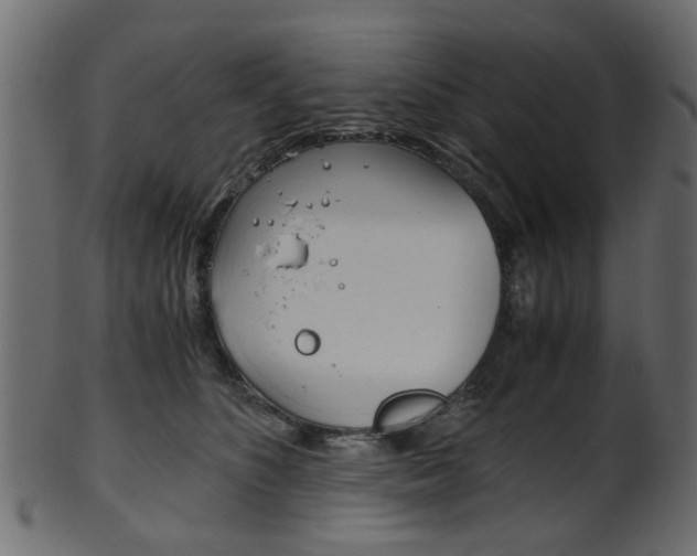 X0000102030516200807181009