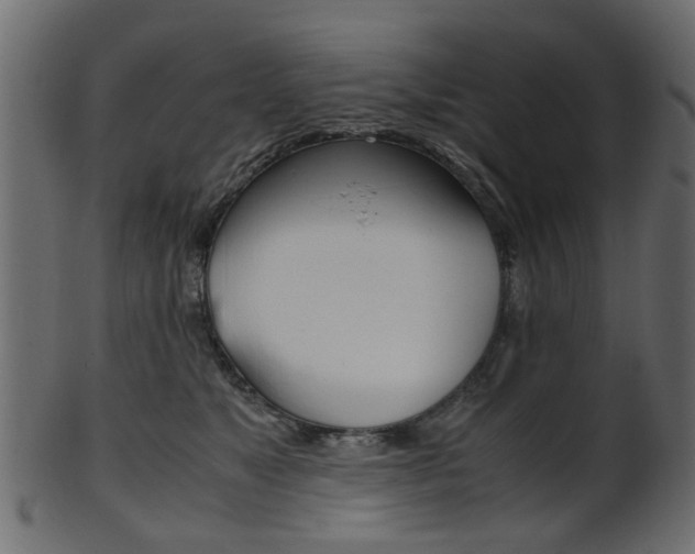 X0000102030517200807181009