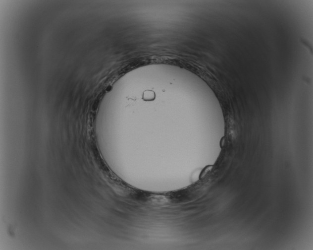 X0000102030519200807181009