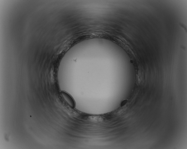 X0000102030520200807181009