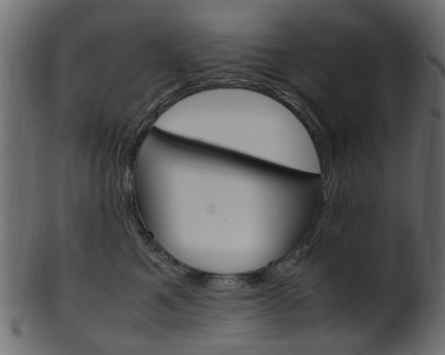 X0000102030521200807181009