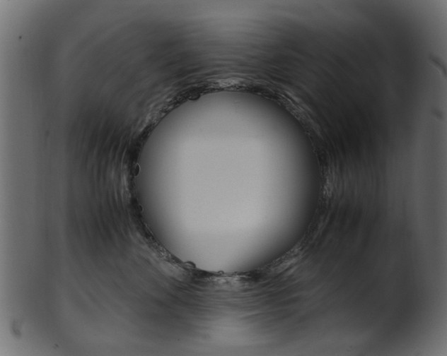 X0000102030524200807181009