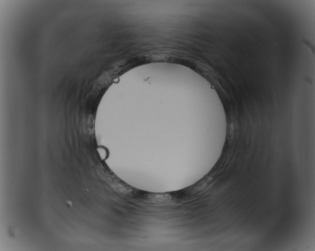 X0000102030525200807181009